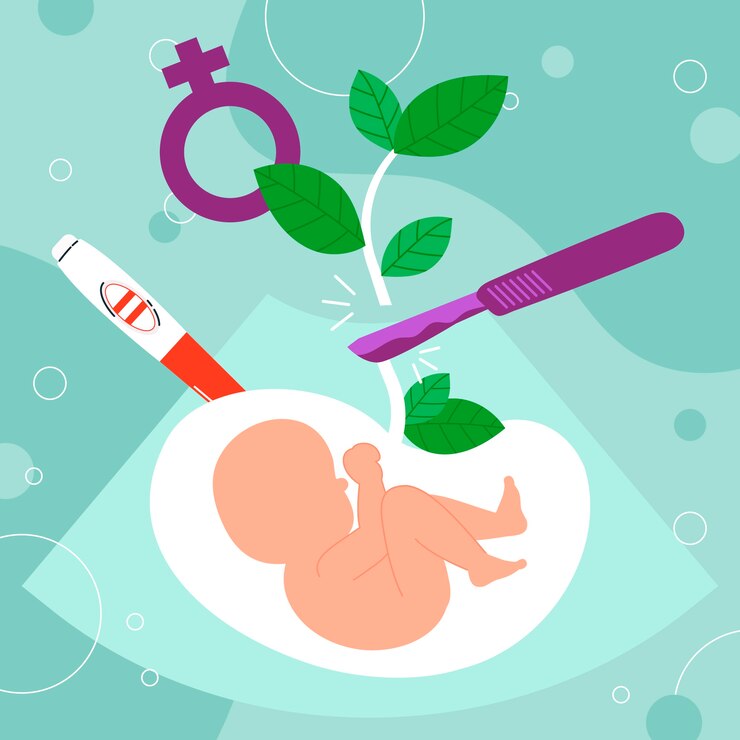 Understanding the Test Tube Baby Procedure