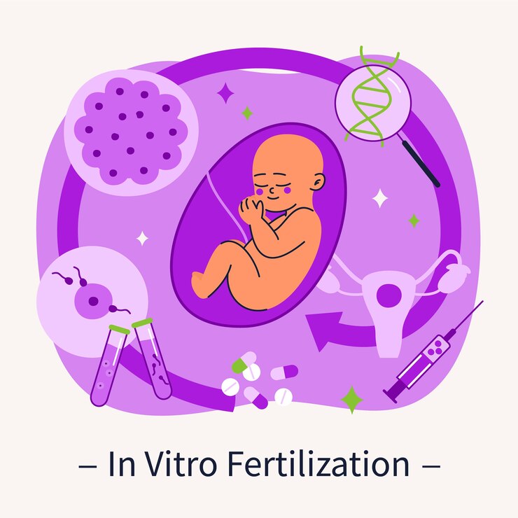 Factors That Contribute to IVF Success